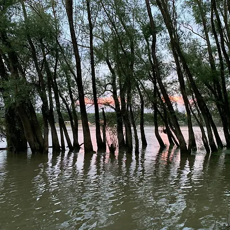 בית נופש Horany *