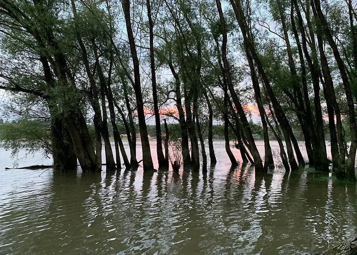 Holiday home Horany *